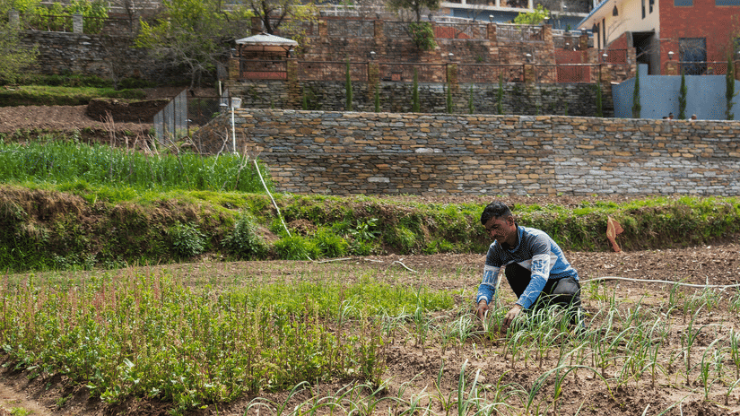 Visit Orchard Farms And Other Forms Of Natural Farming