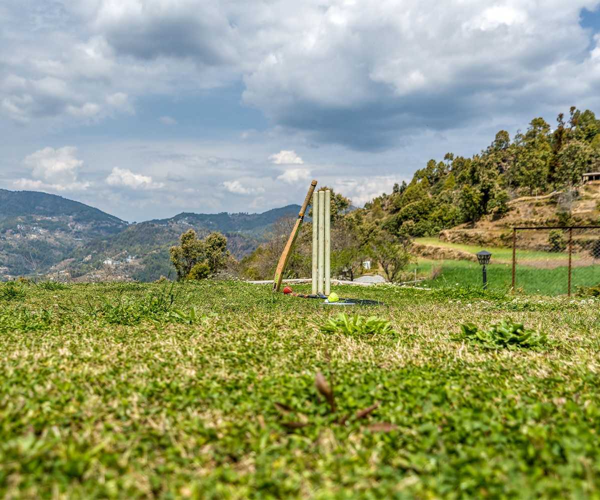 Cricket